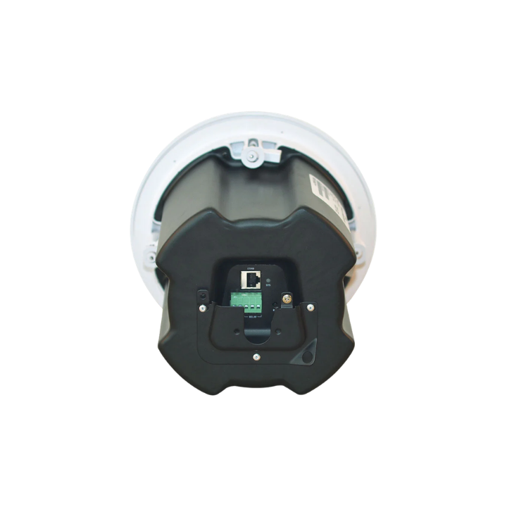 SC-10 - Image 2